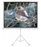 FUNSCREEN 100" (4:3) manuális tripod vetítővászon (hordozható, Méret: 200x150 cm)